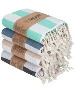 Abalone Bundle - Image 16