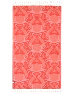 Crabby - Image 3