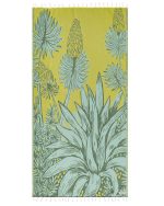 Agave